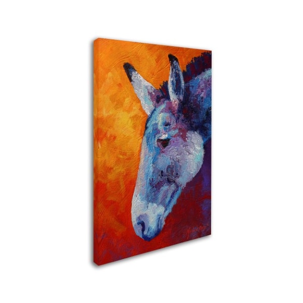 Marion Rose 'Burro IV' Canvas Art,30x47